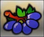 net-Jackpot-6000-online-slot-gamex002x net-Jackpot-6000-online-slot-gamex002x